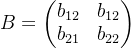 B=\begin{pmatrix} b_{12}& b_{12}\\ b_{21}& b_{22} \end{pmatrix}