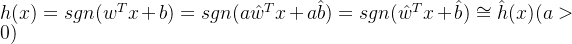 h(x)=sgn(w^Tx+b)=sgn(a \hat{w}^Tx+a\hat{b})=sgn(\hat{w}^Tx+\hat{b})\cong \hat{h}(x)(a>0)